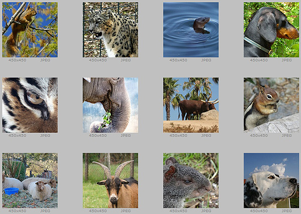 Sample images in the archive