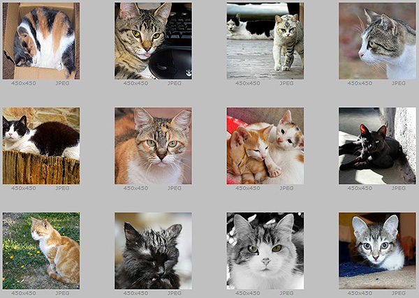 Sample images in the archive