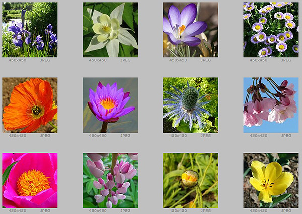Sample images in the archive