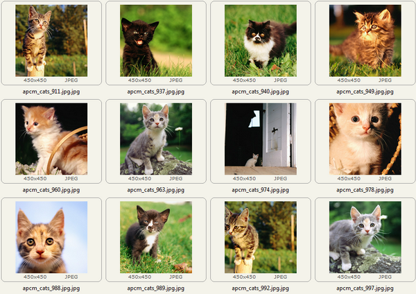 Sample images in the archive
