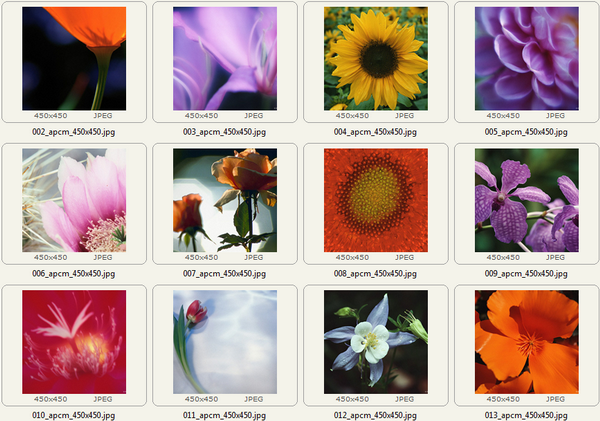 Sample images in the archive
