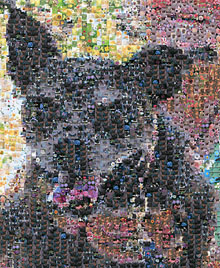 Photo mosaic maker (main view)