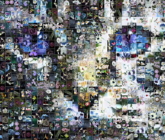 the best mosaic software