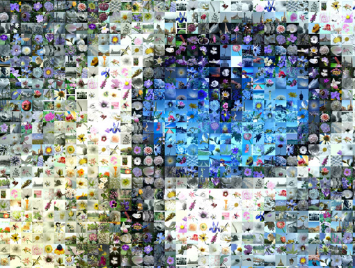 mosaic software