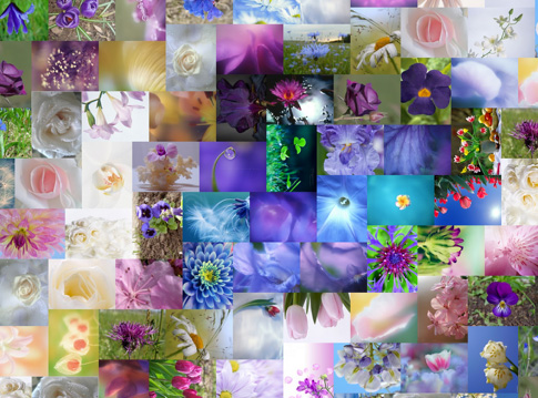 other mosaic software preview