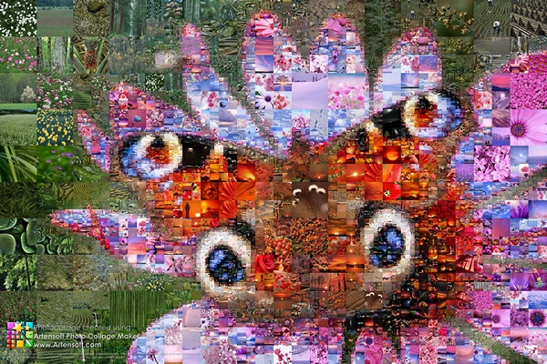 Wilde Farben der Pflanzen- und Insektenwelt in der Fotocollage "Schmetterling". 