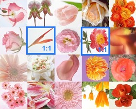 В Artensoft Photo Collage Maker составные элементы имеют пропорции только 1:1
