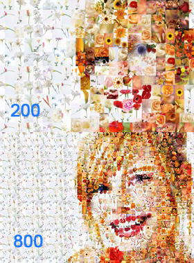 Mosaic Wizard: Detailing depends on the selected amount of component mini-images.