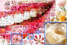 In Artensoft Photo Collage Maker you can choose from 1 to 5 levels of nesting