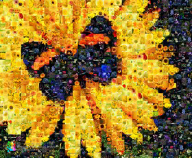 Im Programm Artensoft Photo Mosaic Wizard entsteht das Fotomosaik aus dem gesamten Bild